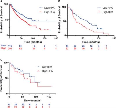 In Vivo Targeting Replication Protein A for Cancer Therapy